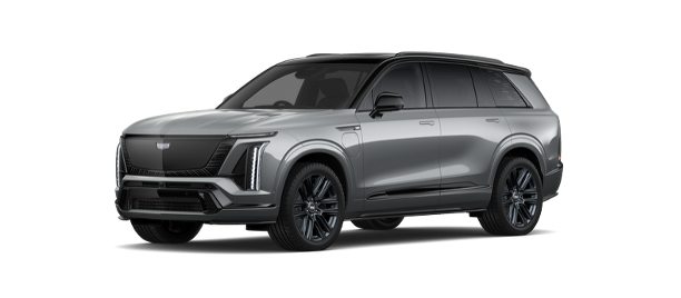 Silver VISTIQ Platinum 